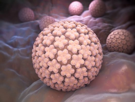 hpv_kondilomata_dermatologos